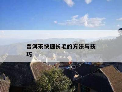 普洱茶快速长毛的方法与技巧