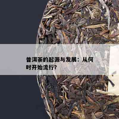 普洱茶的起源与发展：从何时开始流行？