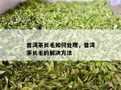 普洱茶长毛怎样解决，普洱茶长毛的解决方法