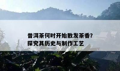 普洱茶何时开始散发茶香？探究其历史与制作工艺