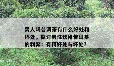 男人喝普洱茶有什么好处和坏处，探讨男性饮用普洱茶的利弊：有何好处与坏处？