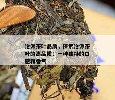 沧源茶叶品质，探索沧源茶叶的高品质：一种特别的口感和香气