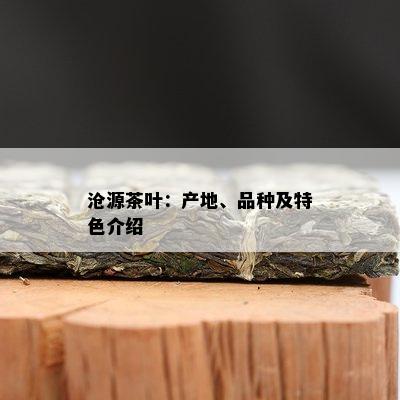 沧源茶叶：产地、品种及特色介绍