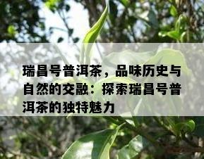 瑞昌号普洱茶，品味历史与自然的交融：探索瑞昌号普洱茶的特别魅力