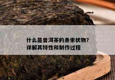 什么是普洱茶的条索状物？详解其特性和制作过程