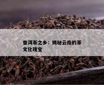 普洱茶之乡：揭秘云南的茶文化瑰宝