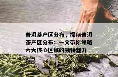 普洱茶产区分布，探秘普洱茶产区分布：一文带你领略六大核心区域的特别魅力