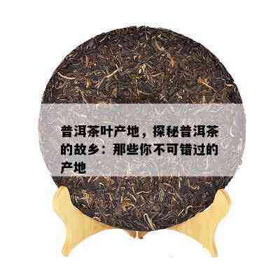 普洱茶叶产地，探秘普洱茶的故乡：那些你不可错过的产地