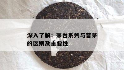 深入了解：茅台系列与普茅的区别及重要性