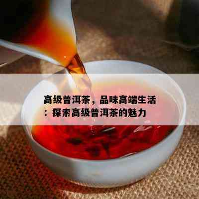 高级普洱茶，品味高端生活：探索高级普洱茶的魅力