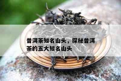 普洱茶知名山头，探秘普洱茶的五大知名山头