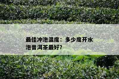 更佳冲泡温度：多少度开水泡普洱茶更好？