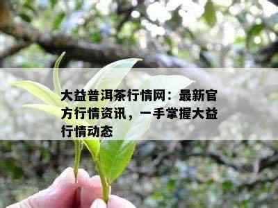 大益普洱茶行情网：最新官方行情资讯，一手掌握大益行情动态