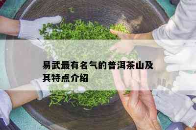 易武最有名气的普洱茶山及其特点介绍