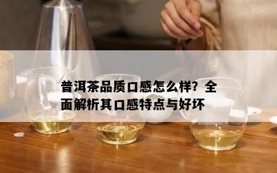 普洱茶品质口感怎么样？全面解析其口感特点与好坏