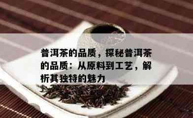 普洱茶的品质，探秘普洱茶的品质：从原料到工艺，解析其特别的魅力