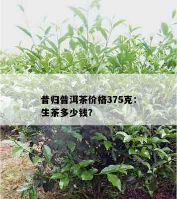 昔归普洱茶价格375克：生茶多少钱？