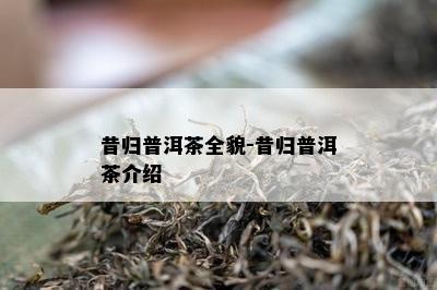 昔归普洱茶全貌-昔归普洱茶介绍