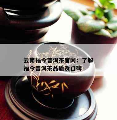 云南福今普洱茶官网：熟悉福今普洱茶品质及口碑