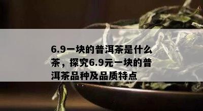 6.9一块的普洱茶是什么茶，探究6.9元一块的普洱茶品种及品质特点