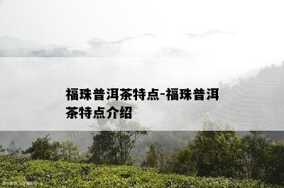 福珠普洱茶特点-福珠普洱茶特点介绍