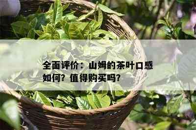 全面评价：山姆的茶叶口感怎样？值得购买吗？