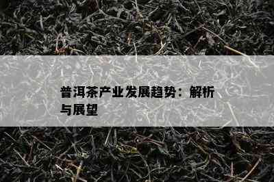 普洱茶产业发展趋势：解析与展望