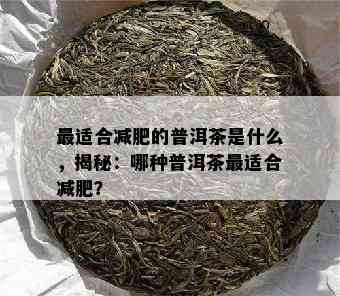 最适合减肥的普洱茶是什么，揭秘：哪种普洱茶最适合减肥？