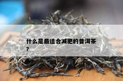 什么是最适合减肥的普洱茶？