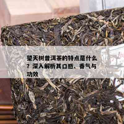 望天树普洱茶的特点是什么？深入解析其口感、香气与功效