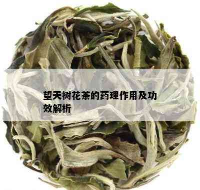 望天树花茶的理作用及功效解析