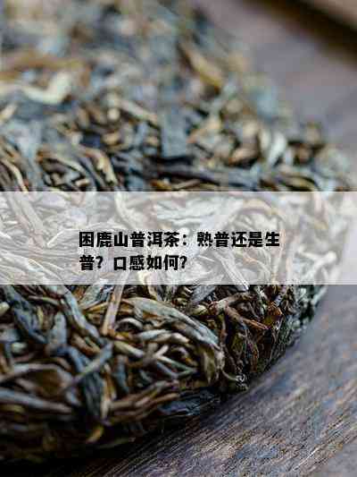 困鹿山普洱茶：熟普还是生普？口感怎样？