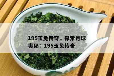 195玉兔传奇，探索月球奥秘：195玉兔传奇