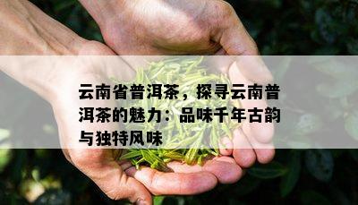 云南省普洱茶，探寻云南普洱茶的魅力：品味千年古韵与特别风味