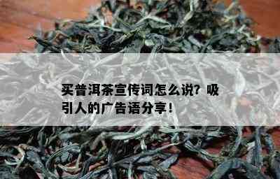 买普洱茶宣传词怎么说？吸引人的广告语分享！