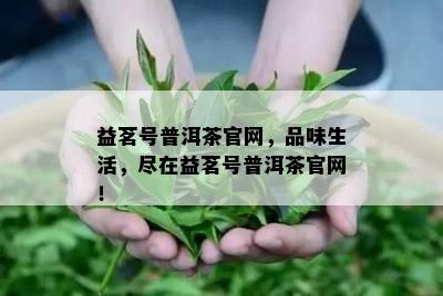 益茗号普洱茶官网，品味生活，尽在益茗号普洱茶官网！