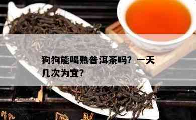 狗狗能喝熟普洱茶吗？一天几次为宜？