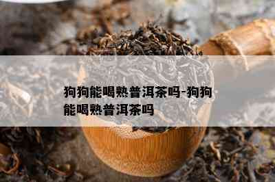 狗狗能喝熟普洱茶吗-狗狗能喝熟普洱茶吗