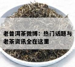 老普洱茶微博：热门话题与老茶资讯全在这里