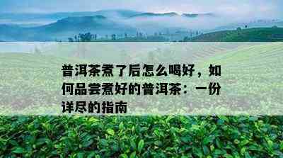 普洱茶煮了后怎么喝好，怎样品尝煮好的普洱茶：一份详尽的指南