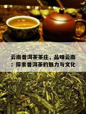 云南普洱茶茶庄，品味云南：探索普洱茶的魅力与文化