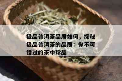 极品普洱茶品质如何，探秘极品普洱茶的品质：你不可错过的茶中珍品