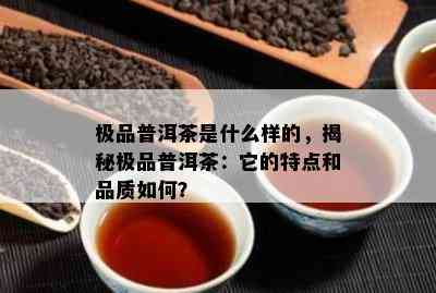 极品普洱茶是什么样的，揭秘极品普洱茶：它的特点和品质如何？