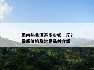 国内熟普洱茶多少钱一斤？最新价格及常见品种介绍