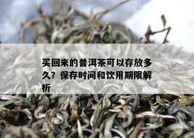 买回来的普洱茶可以存放多久？保存时间和饮用期限解析