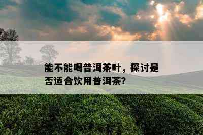 能不能喝普洱茶叶，探讨是不是适合饮用普洱茶？