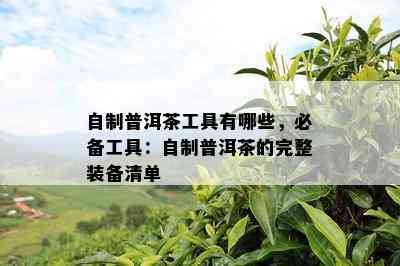 自制普洱茶工具有哪些，必备工具：自制普洱茶的完整装备清单