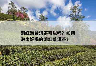 滇红泡普洱茶可以吗？怎样泡出好喝的滇红普洱茶？