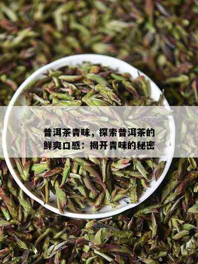 普洱茶青味，探索普洱茶的鲜爽口感：揭开青味的秘密