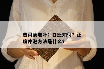 普洱茶老叶：口感怎样？正确冲泡方法是什么？